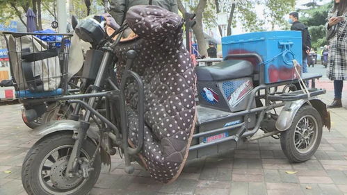 重磅 未來三年限行規(guī)定大變化 石家莊道路通行新規(guī)則出臺 附變化解讀