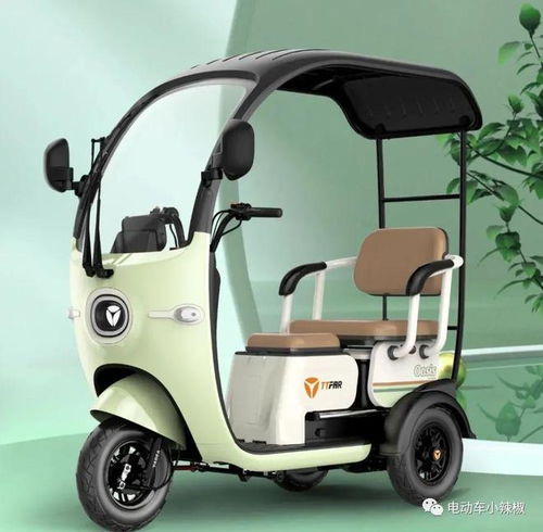 無需駕照，雅迪愛瑪新款接娃小三輪 3人座駕，續航百公里電動防爆車